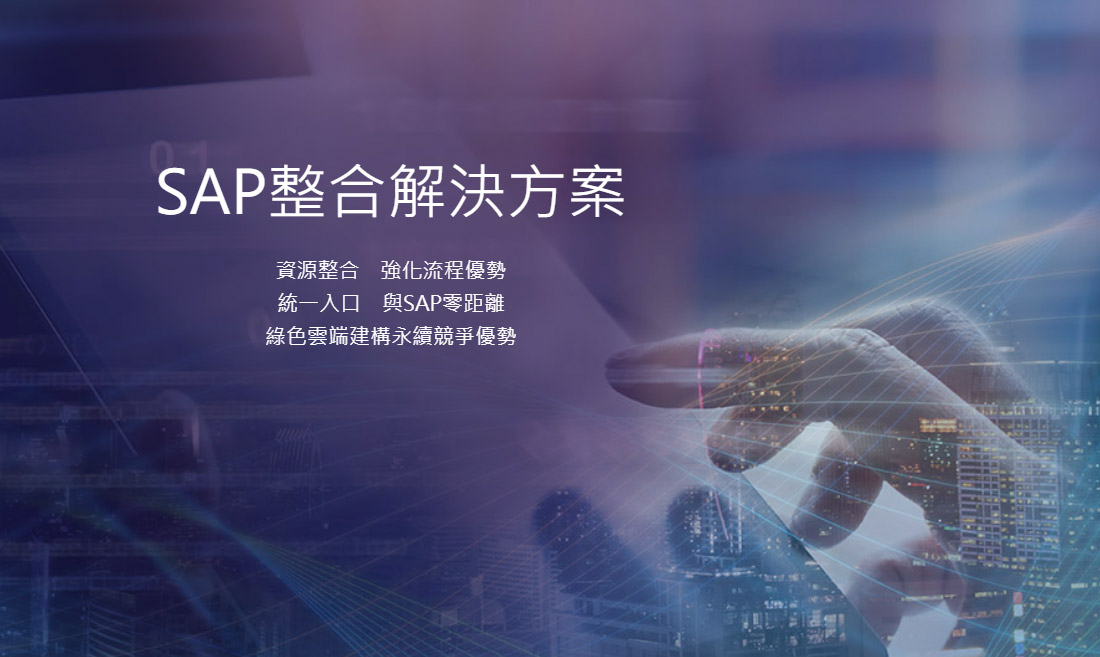 SAP整合方案